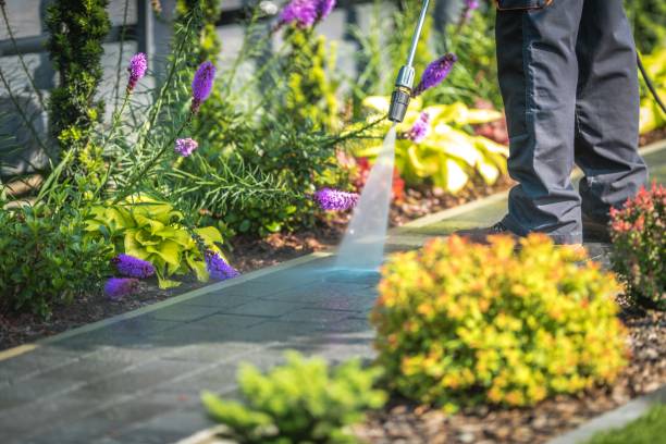 Best Animal Enclosure Cleaning  in La Grange, TX