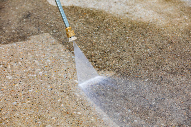Best Sidewalk and Walkway Cleaning  in La Grange, TX