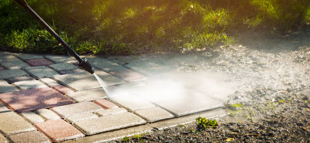 Best Fence Cleaning  in La Grange, TX